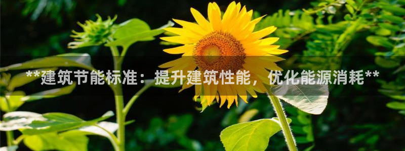 e尊国际是干什么的：**建筑节能标准：提升建筑性能，优化能源消耗**