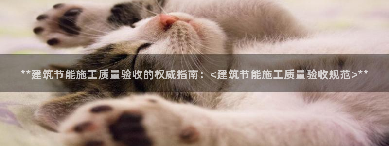 e尊国际可靠吗：**建筑节能施工质量验收的权威指南：<建筑节能施工质量验收规范>**