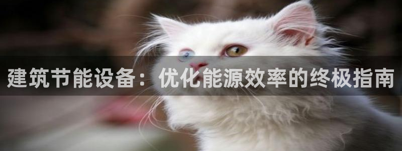 E尊国际网站：建筑节能设备：优化能源效率的终极指南