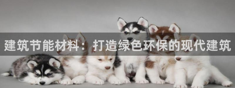 e尊国际网址：建筑节能材料：打造绿色环保的现代建筑