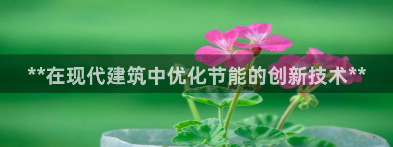e尊国际是干什么的：**在现代建筑中优化节能的创新技术**