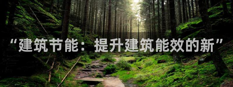 e尊国际网址：“建筑节能：提升建筑能效的新”