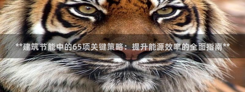 e尊国际可靠吗：**建筑节能中的65项关键策略：提升能源效率的全面指南**
