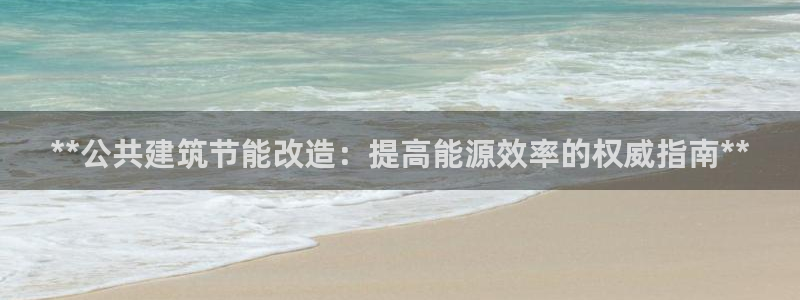 e尊国际是个黑网：**公共建筑节能改造：提高能源效率的权威指南**