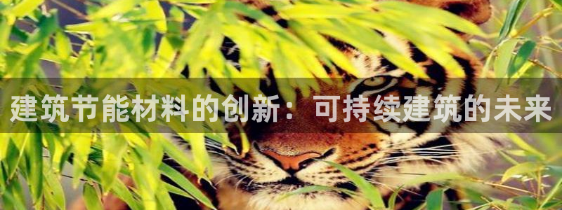 e尊体育：建筑节能材料的创新：可持续建筑的未来