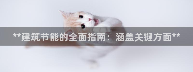 e尊国际官网·网址