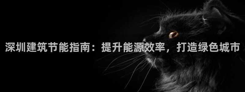 E尊国际：深圳建筑节能指南：提升能源效率，打造绿色城市