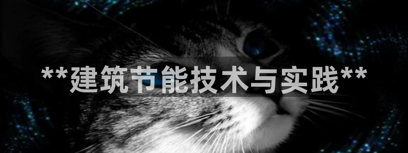 e尊国际客服：**建筑节能技术与实践**