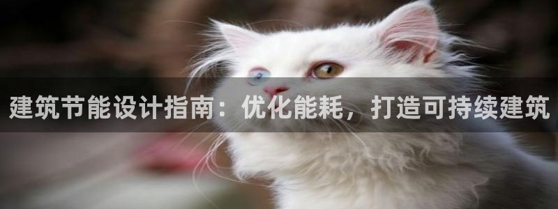 e尊电竞：建筑节能设计指南：优化能耗，打造可持续建筑