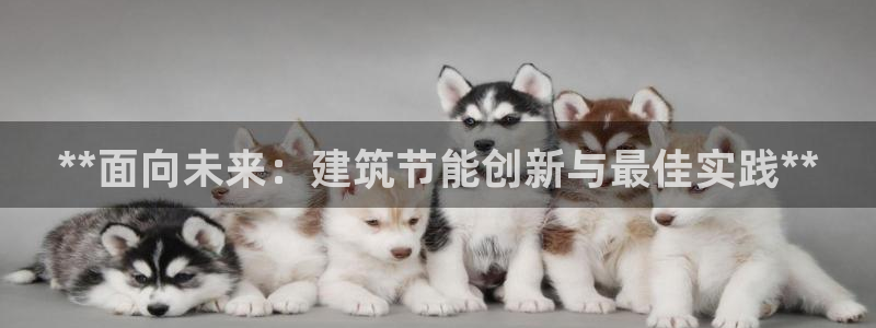 e尊国际-可可计划：**面向未来：建筑节能创新与最佳实践**
