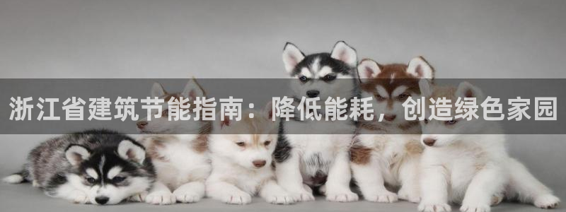 E尊国际网站：浙江省建筑节能指南：降低能耗，创造绿色家园