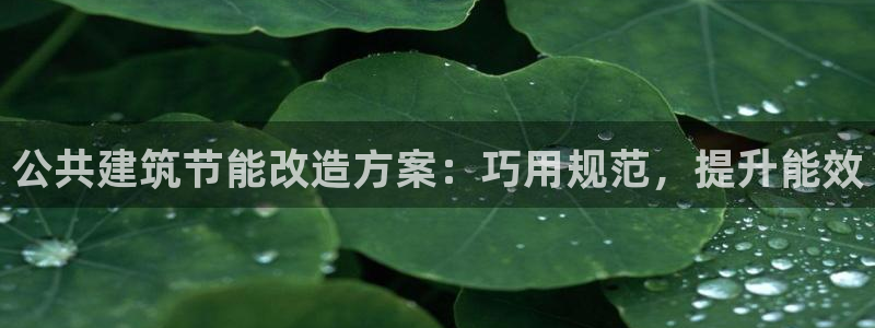 e尊国际平台：公共建筑节能改造方案：巧用规范，提升能效