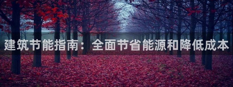 e尊国际客服：建筑节能指南：全面节省能源和降低成本