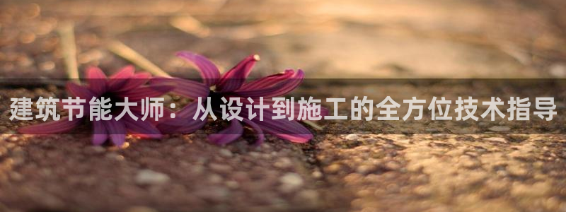 e尊国际客户端下载：建筑节能大师：从设计到施工的全方位技术指导