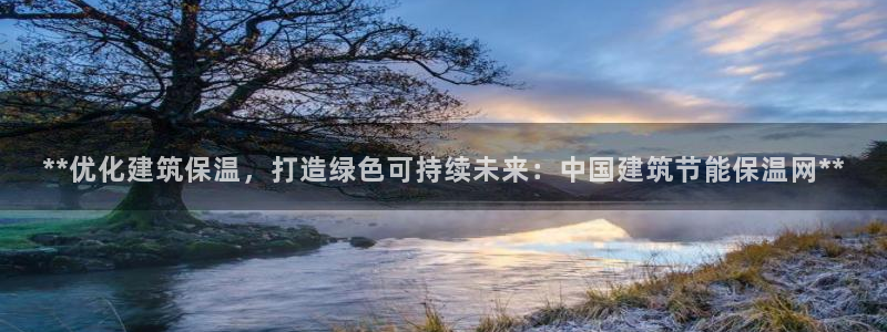 e尊国际地址：**优化建筑保温，打造绿色可持续未来：中国建筑节能保温网**