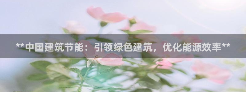 e尊国际的手机登录网站：**中国建筑节能：引领绿色建筑，优化能源效率**