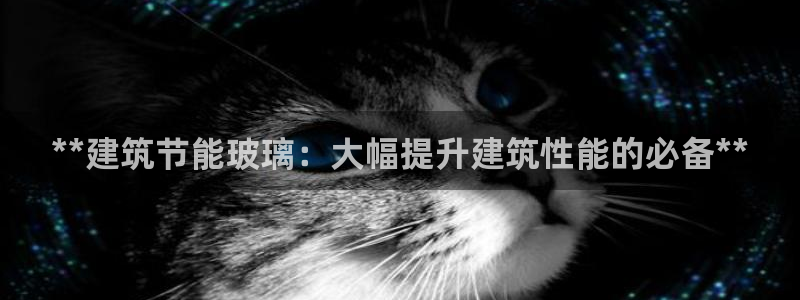 E尊国际网站：**建筑节能玻璃：大幅提升建筑性能的必备**