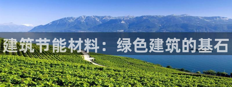 e尊国际网址：建筑节能材料：绿色建筑的基石