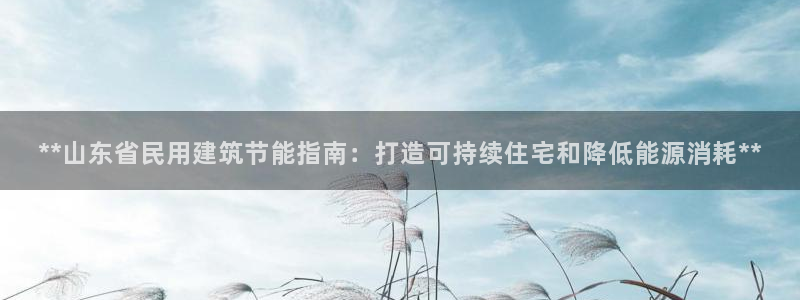 e尊国际平台：**山东省民用建筑节能指南：打造可持续住宅和降低能源消耗**