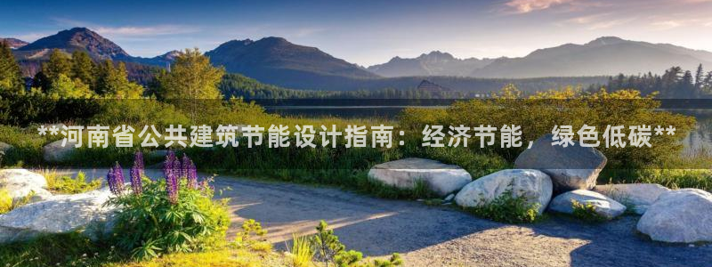 e尊国际平台：**河南省公共建筑节能设计指南：经济节能，绿色低碳**