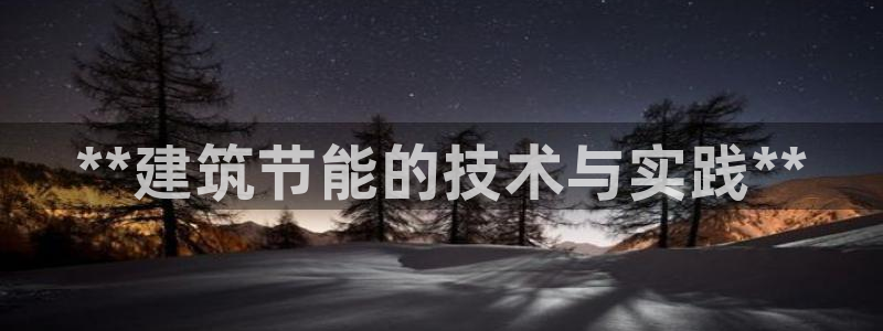 e尊国际的手机登录网站：**建筑节能的技术与实践**