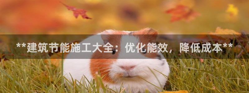 尊亿游戏国际官网：**建筑节能施工大全：优化能效，降低成本**