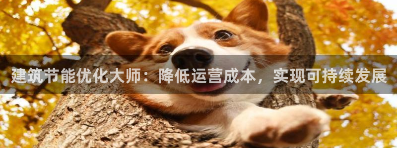 e尊国际的手机登录网站：建筑节能优化大师：降低运营成本，实现可持续发展