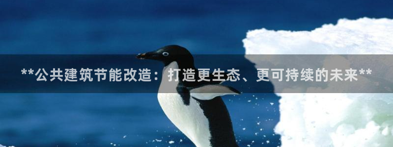 e尊国际官方网站：**公共建筑节能改造：打造更生态、更可持续的未来**