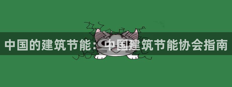 尊亿游戏国际官网：中国的建筑节能：中国建筑节能协会指南