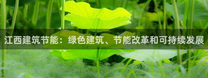 尊亿游戏国际官网：江西建筑节能：绿色建筑、节能改革和可持续发展