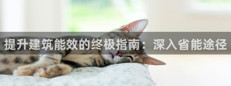 e尊国际可靠吗：提升建筑能效的终极指南：深入省能途径