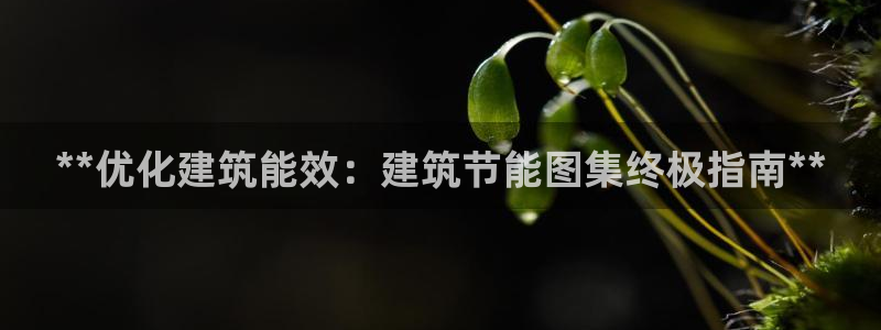 e尊国际app：**优化建筑能效：建筑节能图集终极指南**