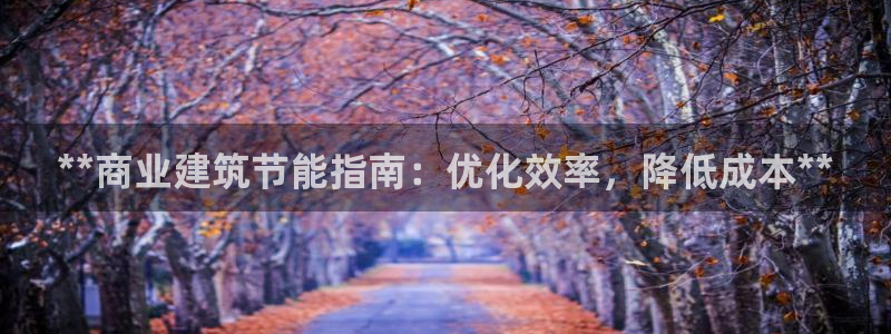 e尊国际娱乐官网地址：**商业建筑节能指南：优化效率，降低成本**
