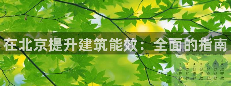 e尊国际客户端下载：在北京提升建筑能效：全面的指南