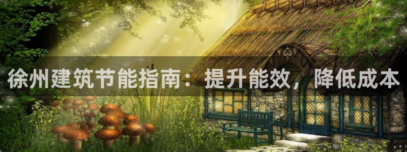 e尊国际app：徐州建筑节能指南：提升能效，降低成本