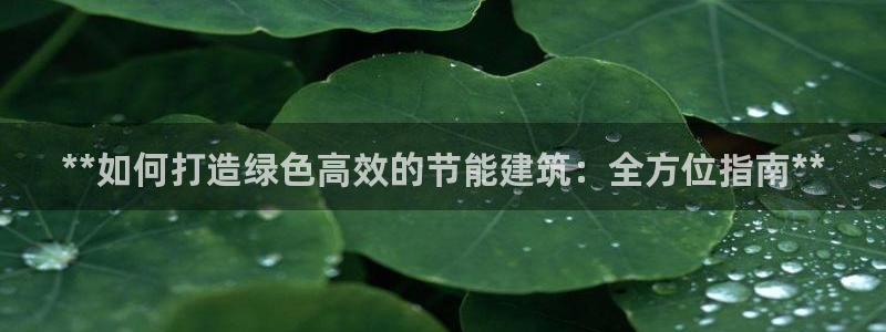 e尊国际官方网站：**如何打造绿色高效的节能建筑：全方位指南**