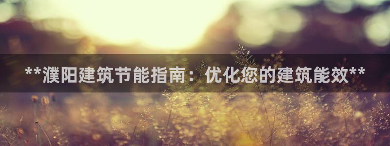 e尊国际-可可计划：**濮阳建筑节能指南：优化您的建筑能效**