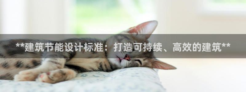 e尊国际可靠吗：**建筑节能设计标准：打造可持续、高效的建筑**