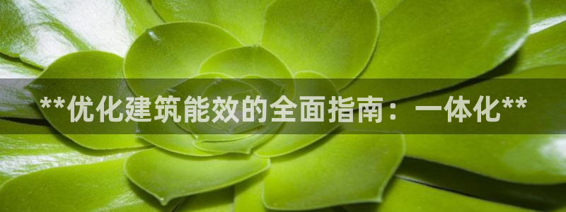 e尊国际地址：**优化建筑能效的全面指南：一体化**