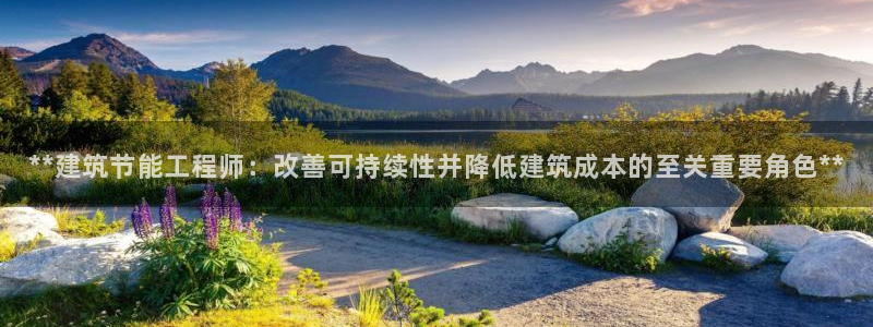 e尊国际是干什么的：**建筑节能工程师：改善可持续性并降低建筑成本的至关重要角色**