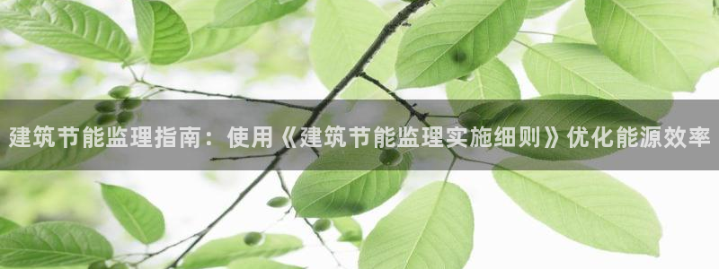 尊亿游戏国际官网：建筑节能监理指南：使用《建筑节能监理实施细则》优化能源效率