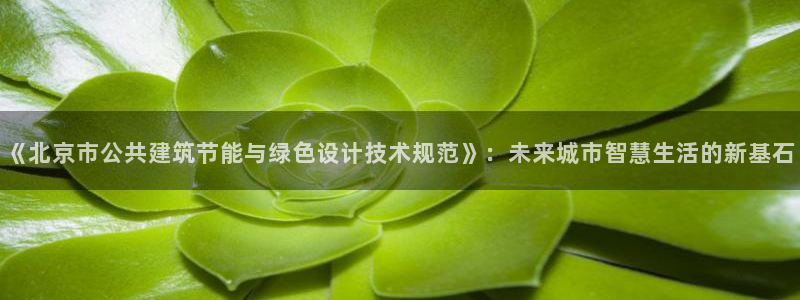 e尊体育：《北京市公共建筑节能与绿色设计技术规范》：未来城市智慧生活的新基石