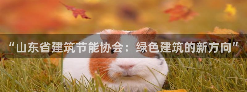 e尊国际地址：“山东省建筑节能协会：绿色建筑的新方向”
