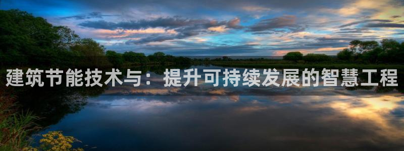 谁知道e尊国际的网址：建筑节能技术与：提升可持续发展的智慧工程