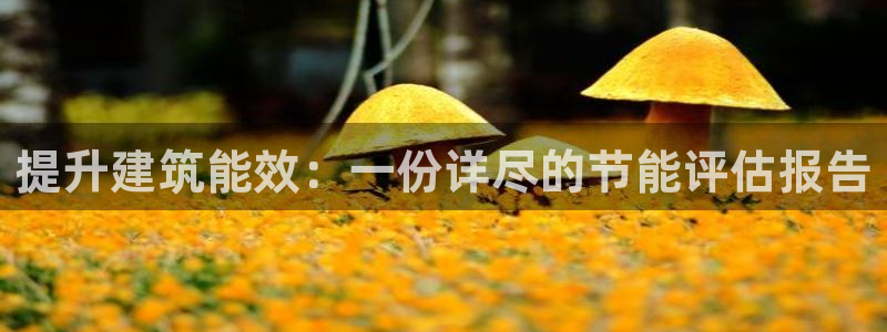 e尊国际娱乐官网下载：提升建筑能效：一份详尽的节能评估报告