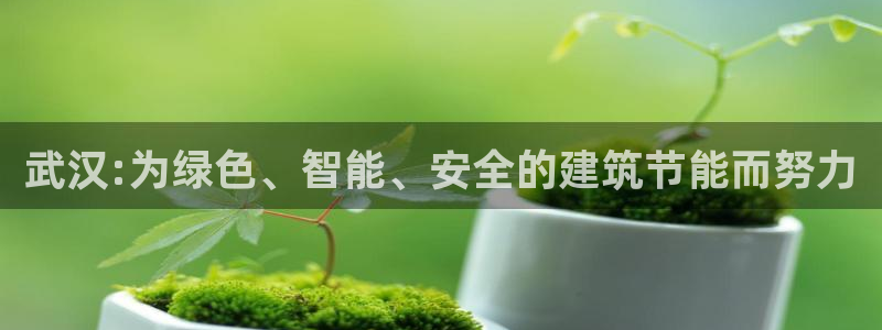e尊国际app：武汉:为绿色、智能、安全的建筑节能而努力