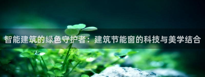 e尊国际的手机登录网站：智能建筑的绿色守护者：建筑节能窗的科技与美学结合
