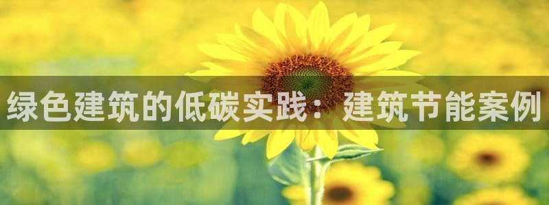谁知道e尊国际的网址：绿色建筑的低碳实践：建筑节能案例