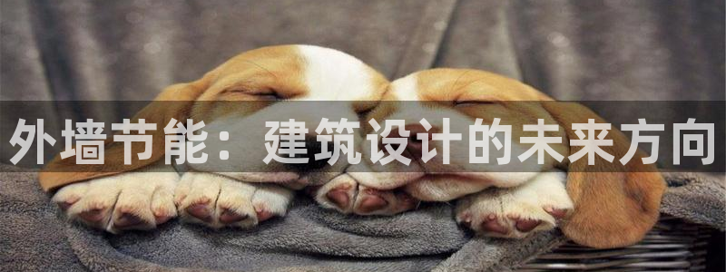 谁知道e尊国际的网址：外墙节能：建筑设计的未来方向