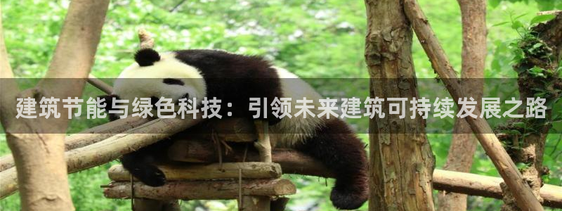 e尊国际官网